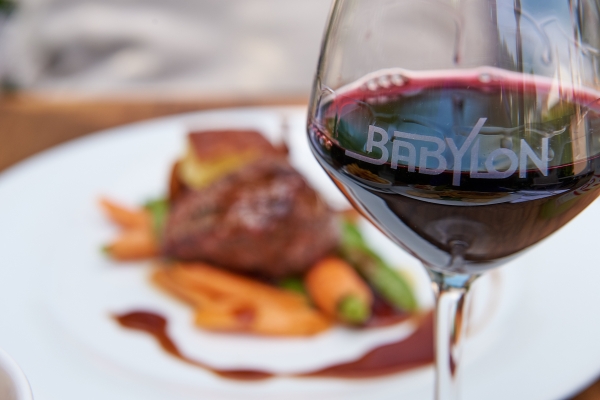 Hotel Babylon Heerhugowaard-Alkmaar